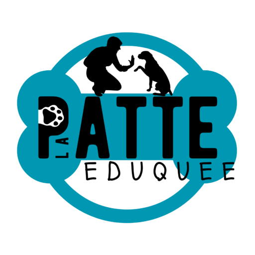 La patte éduquée